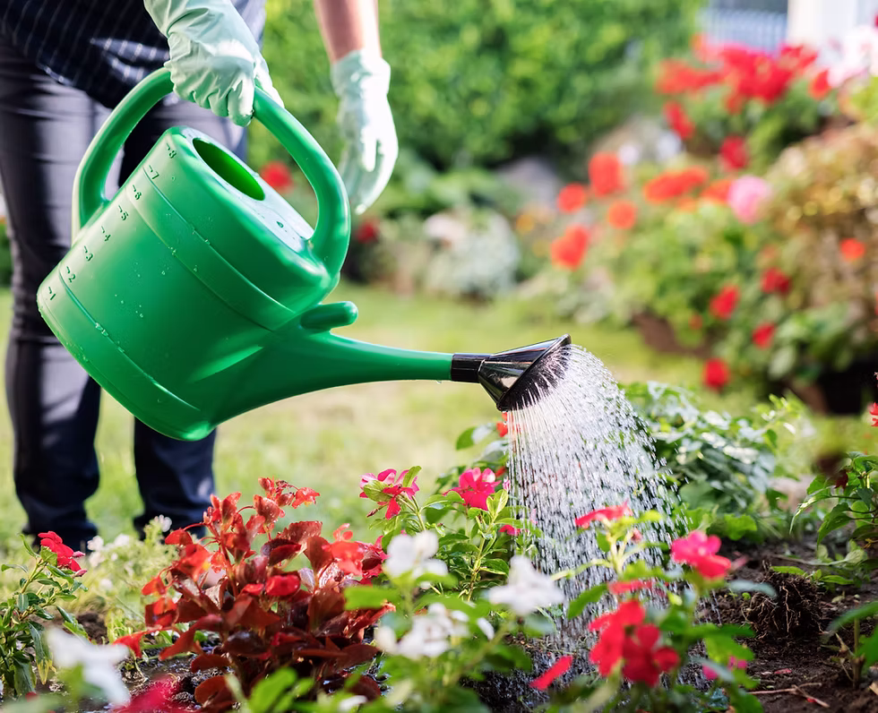 watering.avif